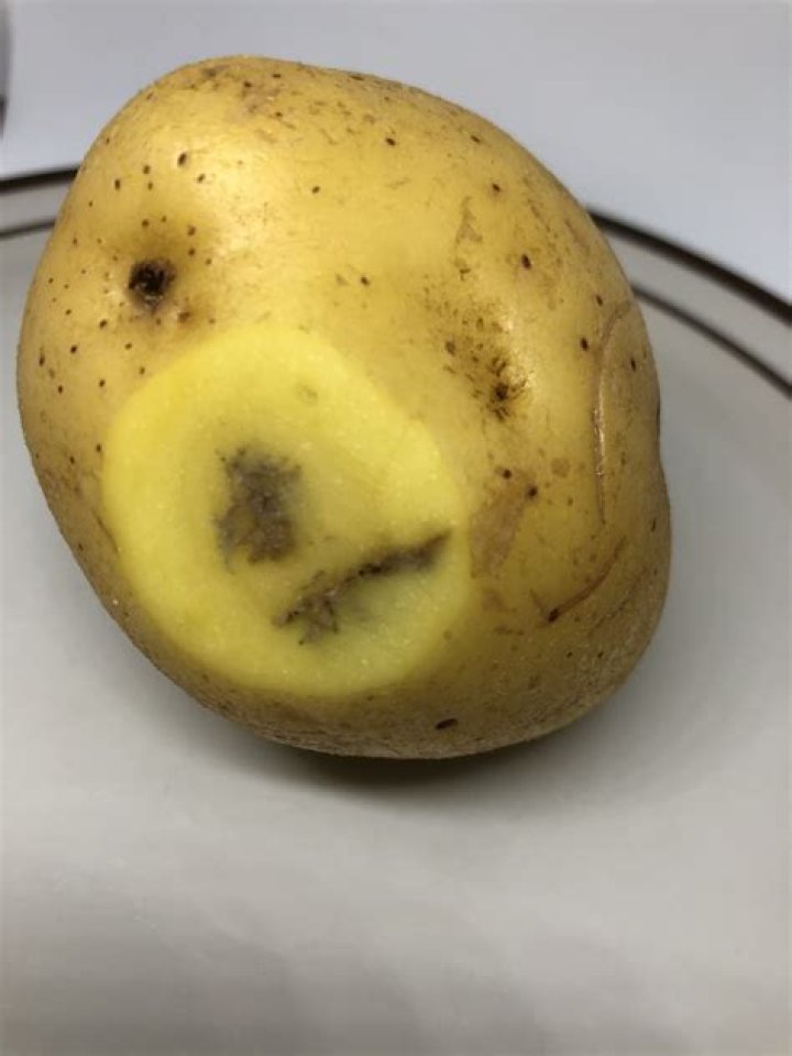 Are my potatoes bad