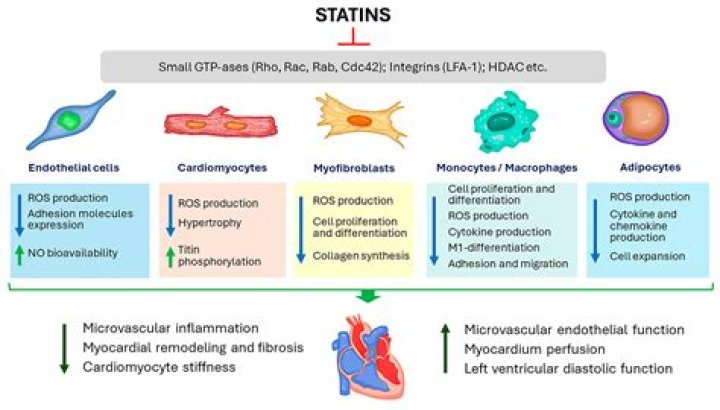 Can statins cause edema