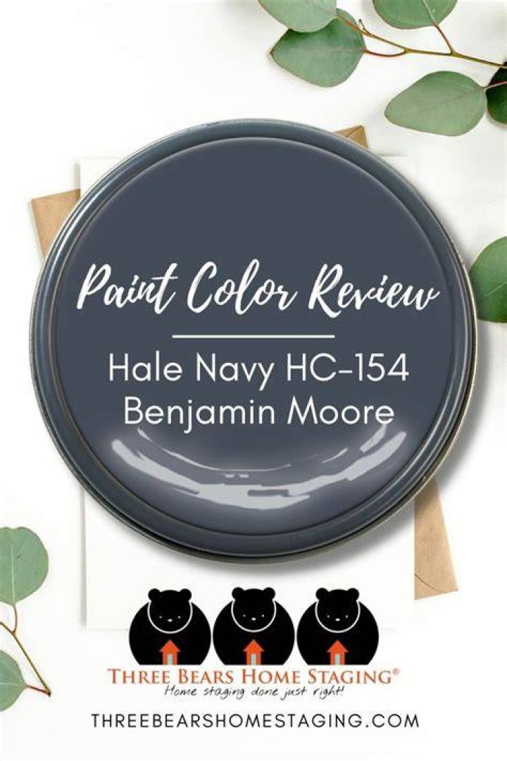 Does Hale Navy look black