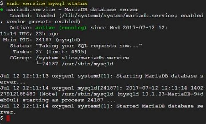 How do I find my MariaDB database