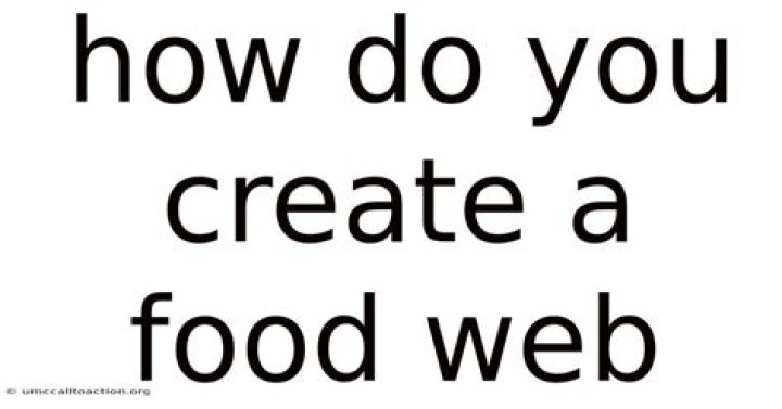 How do you create a food web?