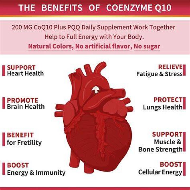 How do you dissolve CoQ10
