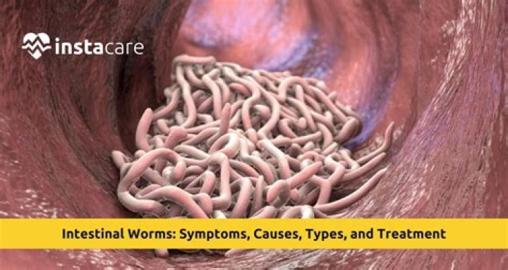 How do you kill intestinal worms