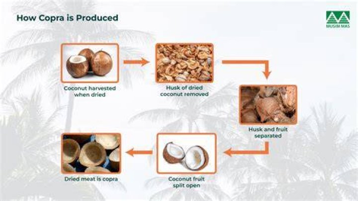 How do you make coconut copra?