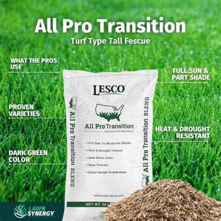 How do you plant Pennington Smart Seed