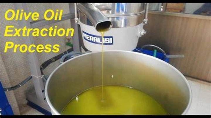 How is oil extracted from olives?