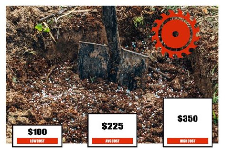 How much does deep root fertilization cost