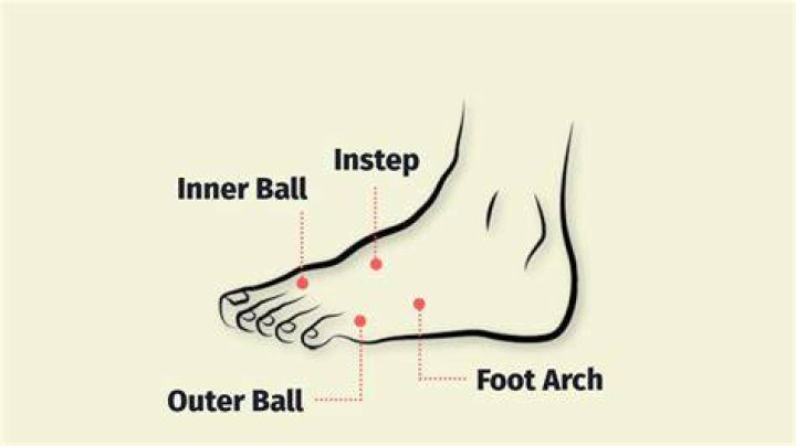 How much is cedar a foot