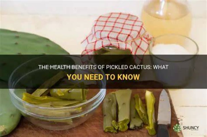 Is pickled cactus good for you