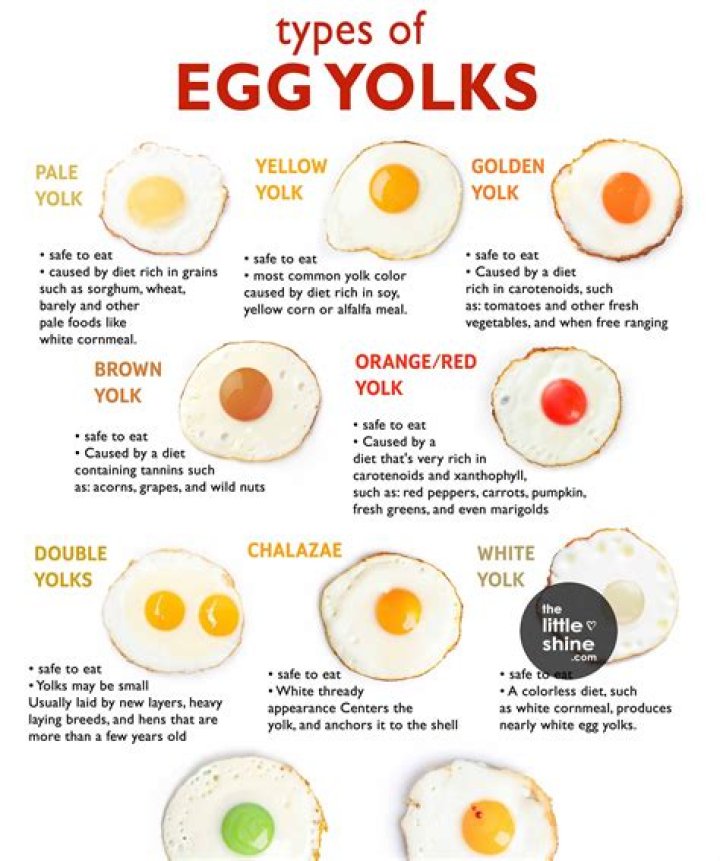 What can I do with 6 yolks?