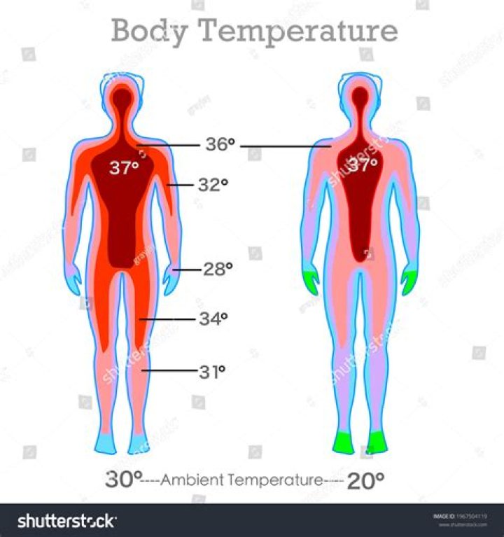 What causes sudden body temperature changes?