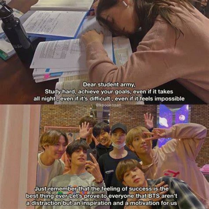 What did BTS study in university