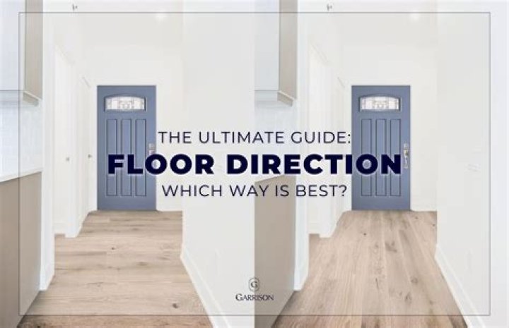 What direction should a money frog face