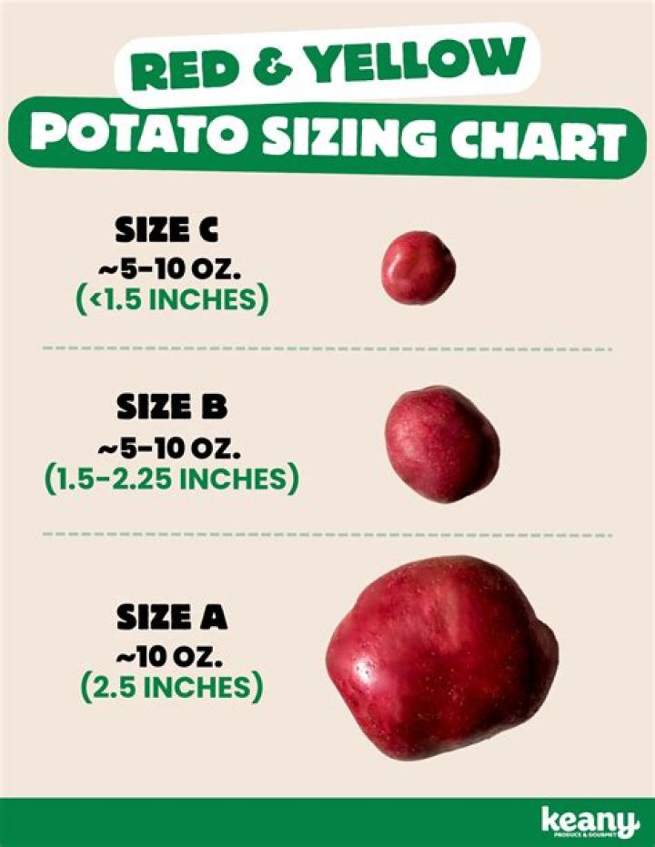 What do amyloplasts in potatoes store?