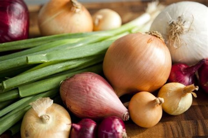 What does a sweet onion look like