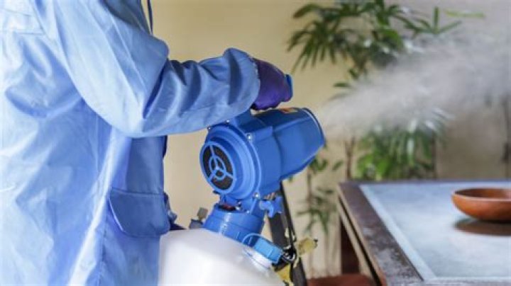 What does fumigating a house mean