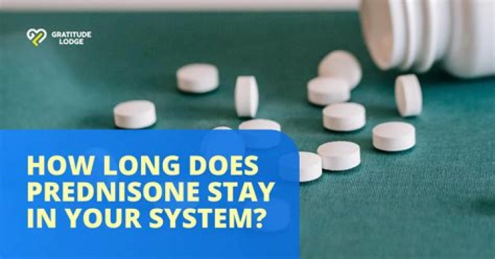 What does prednisone do for Bells palsy