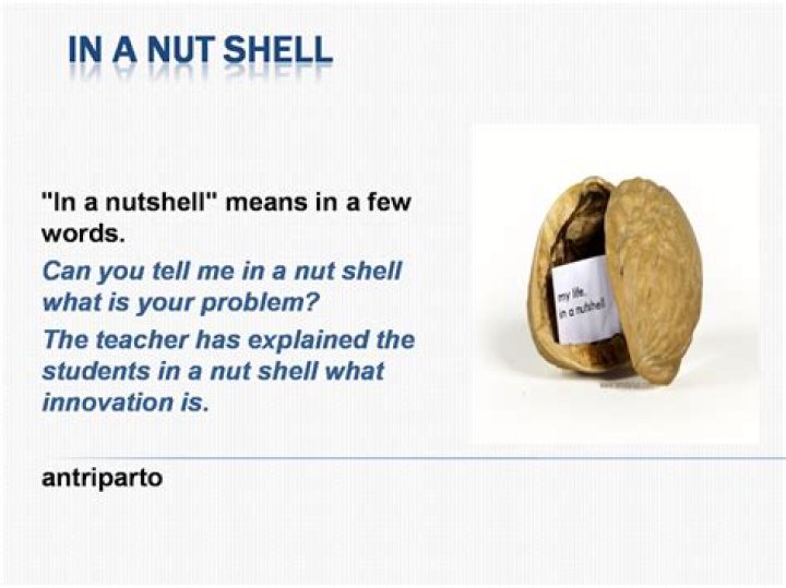 What does the phrase in a nut shell mean?