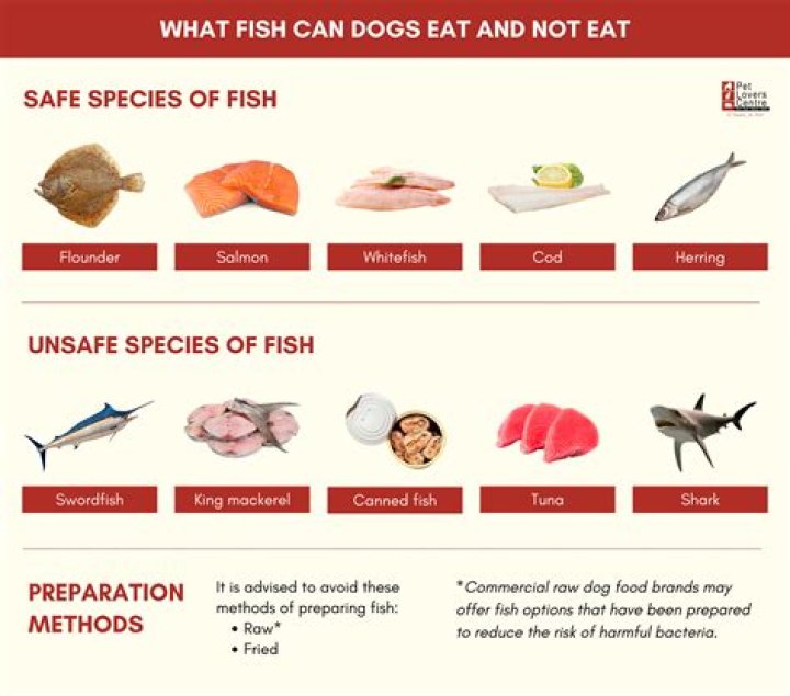 What fish is not edible?