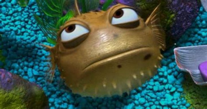 What inflates the puffer fish in Finding Nemo