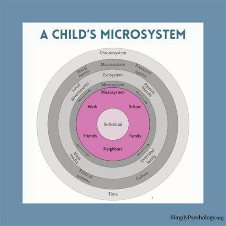 What is an example of a microsystem