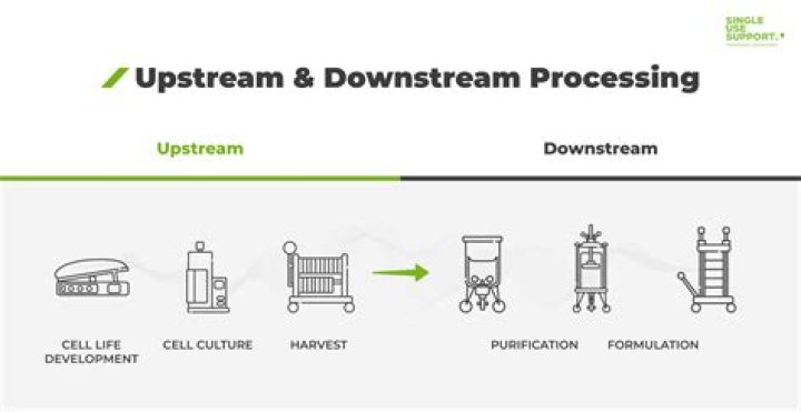 What is an Nginx upstream