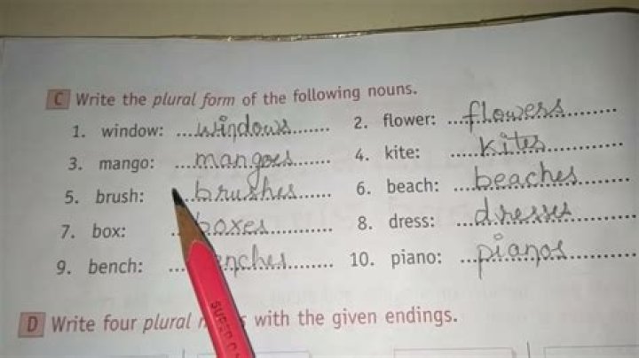 What is the correct plural form?