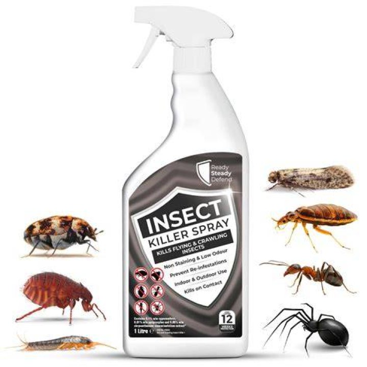 What sprays kill mites