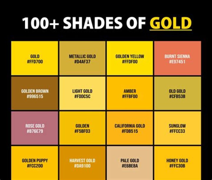 Where can I find the RV other color code?