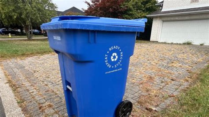 Where did the word bin come from