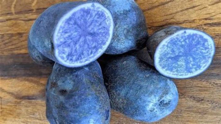 Where does blue potatoes come from?