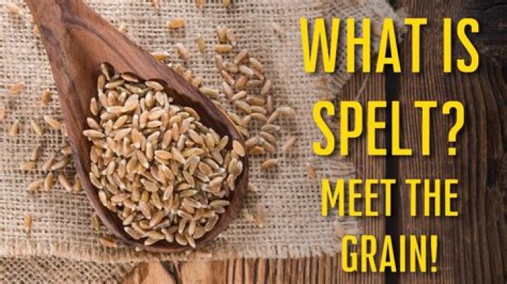 Where is Spelt from