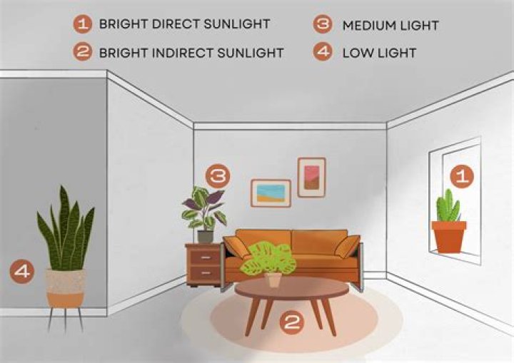 Which direction gets the most sun UK