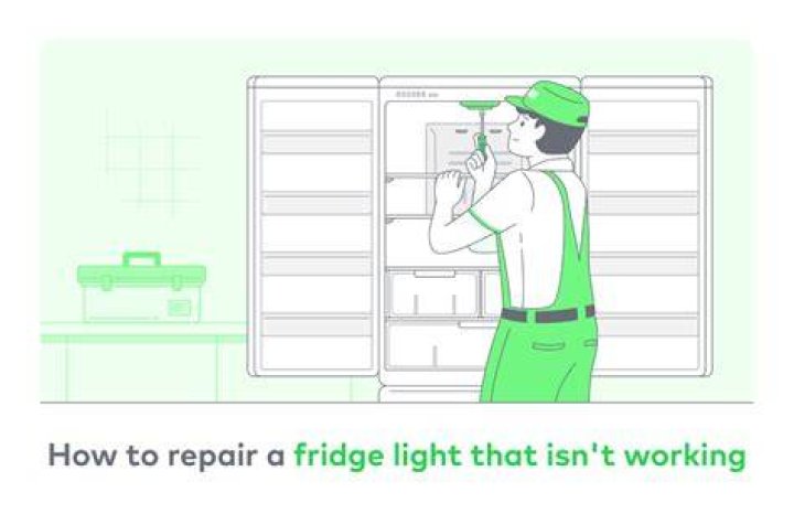 Why does the Dometic fridge light not turn on?