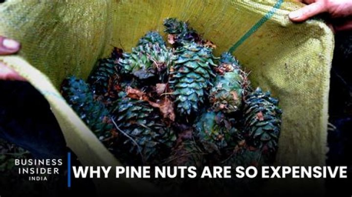Why pine nuts are so expensive